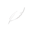 footer_feather